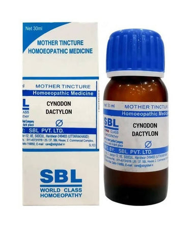 https://cdn.shopify.com/s/files/1/1857/6931/products/ghK2X3QmyA.jpg?v=1638516070
